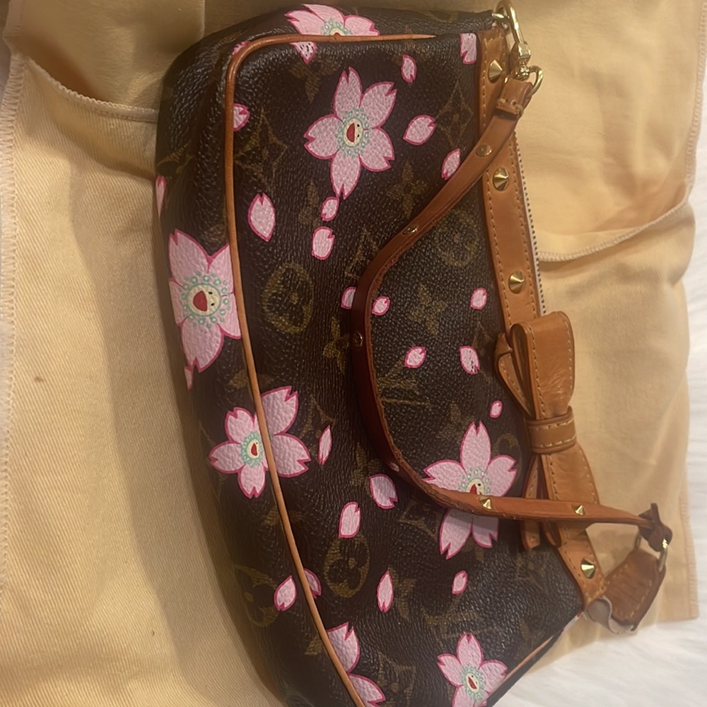 ✨Louis Vuitton pochette✨